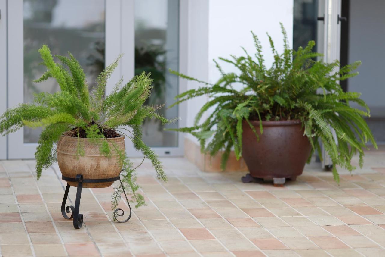 Albariza Hotel Boutique Sanlucar de Barrameda Ngoại thất bức ảnh
